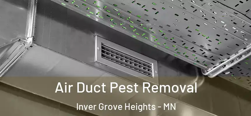  Air Duct Pest Removal Inver Grove Heights - MN