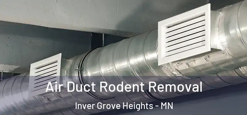 Air Duct Rodent Removal Inver Grove Heights - MN