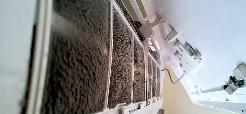 Preventive Air Duct Bacteria Removal in Inver Grove Heights