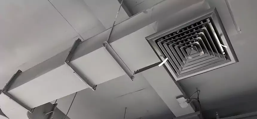 Restorative Allergy Relief Vent Cleaning – Coil, Blower & Housing Detail in Inver Grove Heights