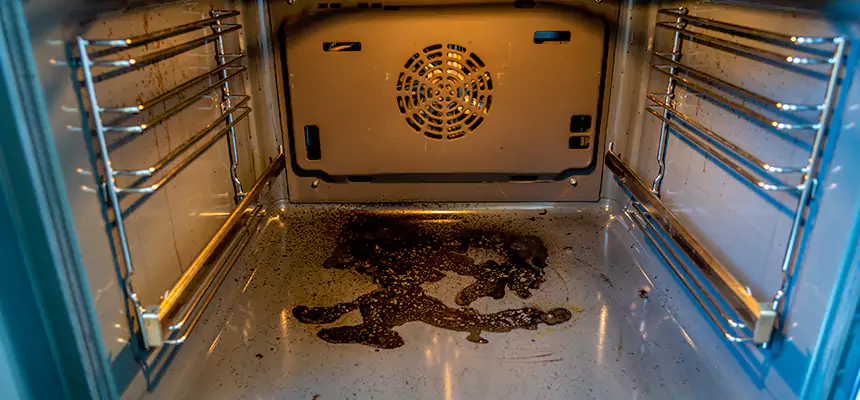 Our Dryer Vent Mold Cleaning Services in Inver Grove Heights, MN