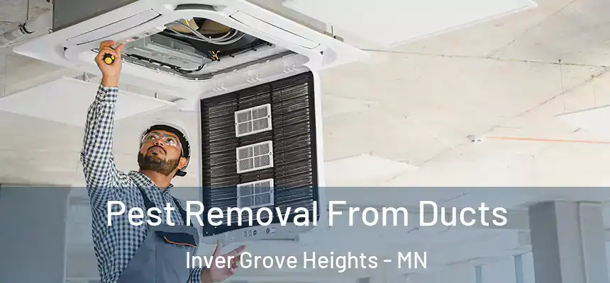 Pest Removal From Ducts Inver Grove Heights - MN
