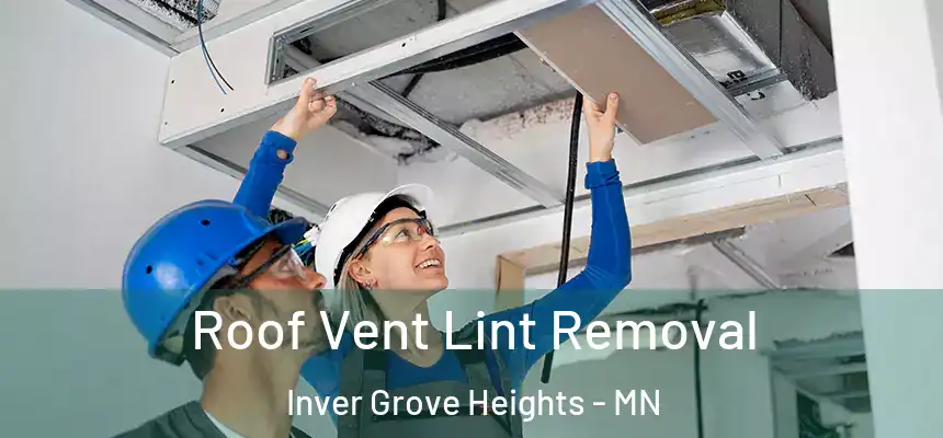 Roof Vent Lint Removal Inver Grove Heights - MN