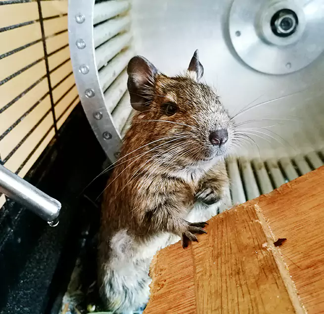 Why Homeowners & Businesses Trust Us Inver Grove Heights, MN