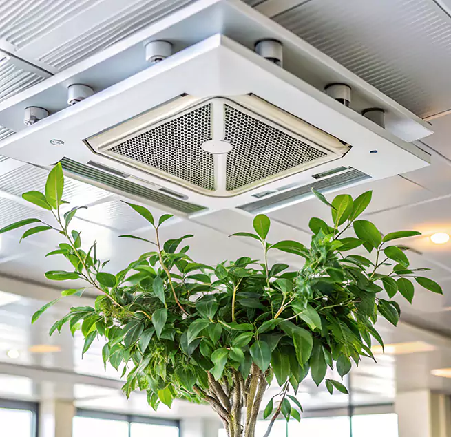 Why Homeowners & Businesses Trust Us in Inver Grove Heights, MN?