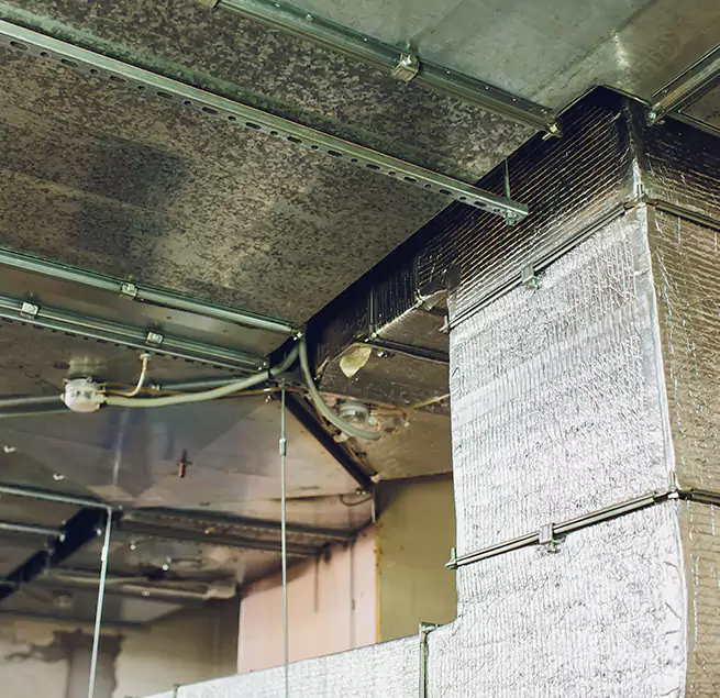 Why Homeowners & Businesses Trust Us in Inver Grove Heights, MN?